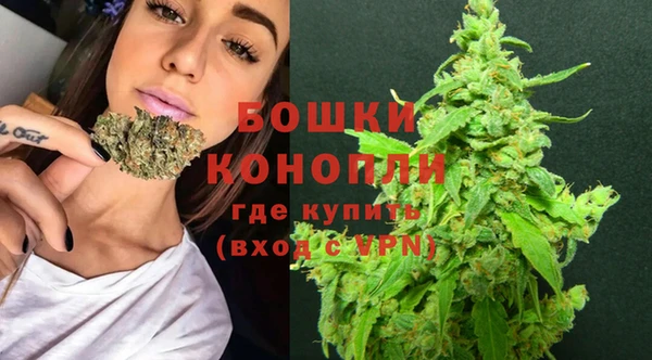 тгк Бородино