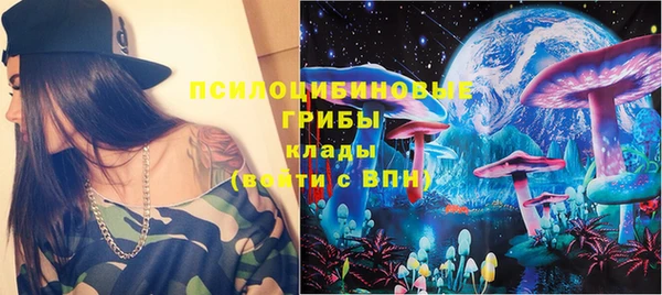 тгк Бородино