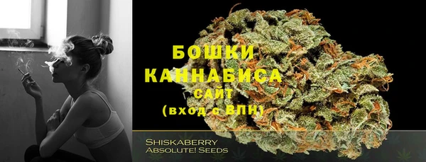 тгк Бородино