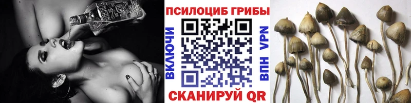 Псилоцибиновые грибы Cubensis  маркетплейс состав  Бронницы  где найти  