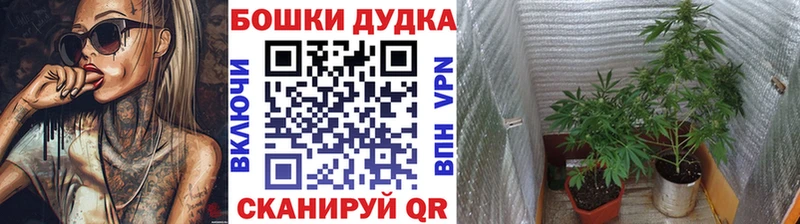 Бошки марихуана тримм  shop телеграм  Бронницы  ОМГ ОМГ сайт 